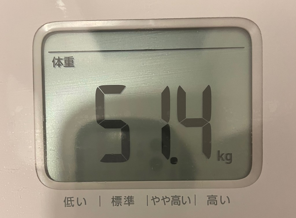 ででーーーーん！